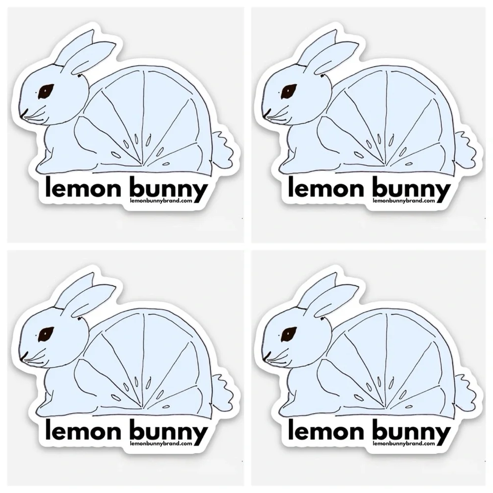 PARKE Heritage Bridal Varsity Mockneck Something Blue + White Size L/XL New NWT - Picture 11 of 14